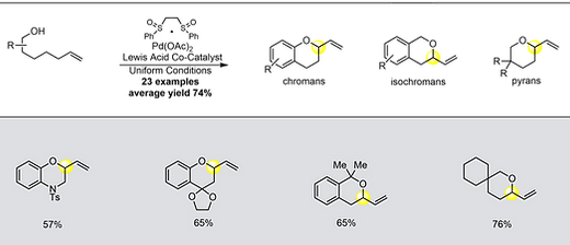 Pd 7 Terminal Olefins to Chromans (Pd 7).png