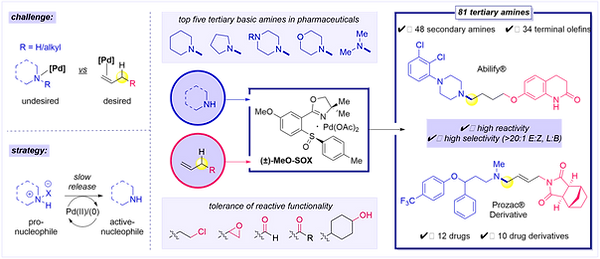 Allylic Amination 2021[40].png