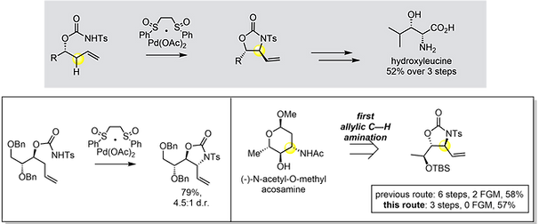 Pd 22 1,2-amino alcohols (syn).png
