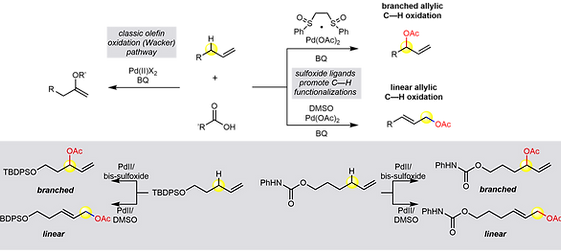 Pd 24 Sulfoxide promoted synthesis of allylic acetates (1).png