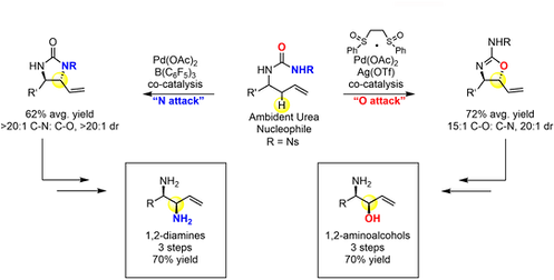 Pd 9 C-O vs C-N Functionalization (Pd 9).png