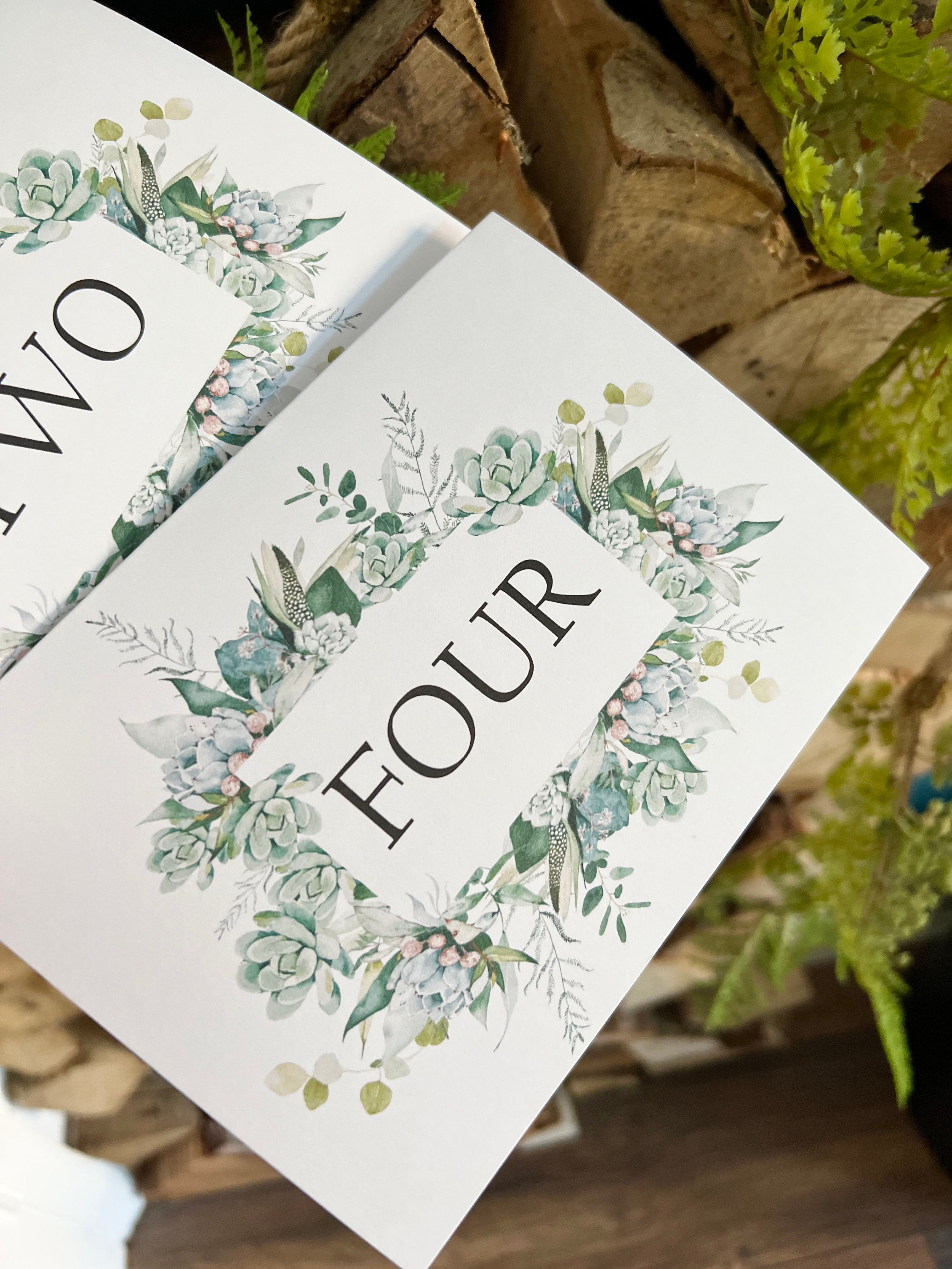Aeonium - Table Number/Name Card