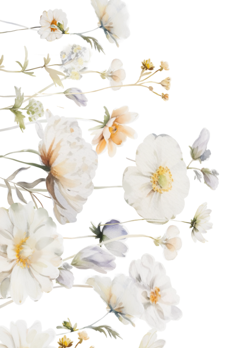 Thumbnail: Wild Flower - invite/vellum wallet/guest info card/string or ribbon