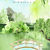 Animated Save the Date - Mulberry House, Essex