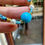 Thumbnail: Calaite necklace