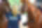hendra%20website_edited.jpg