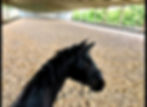 romes%20and%20arena_edited.jpg
