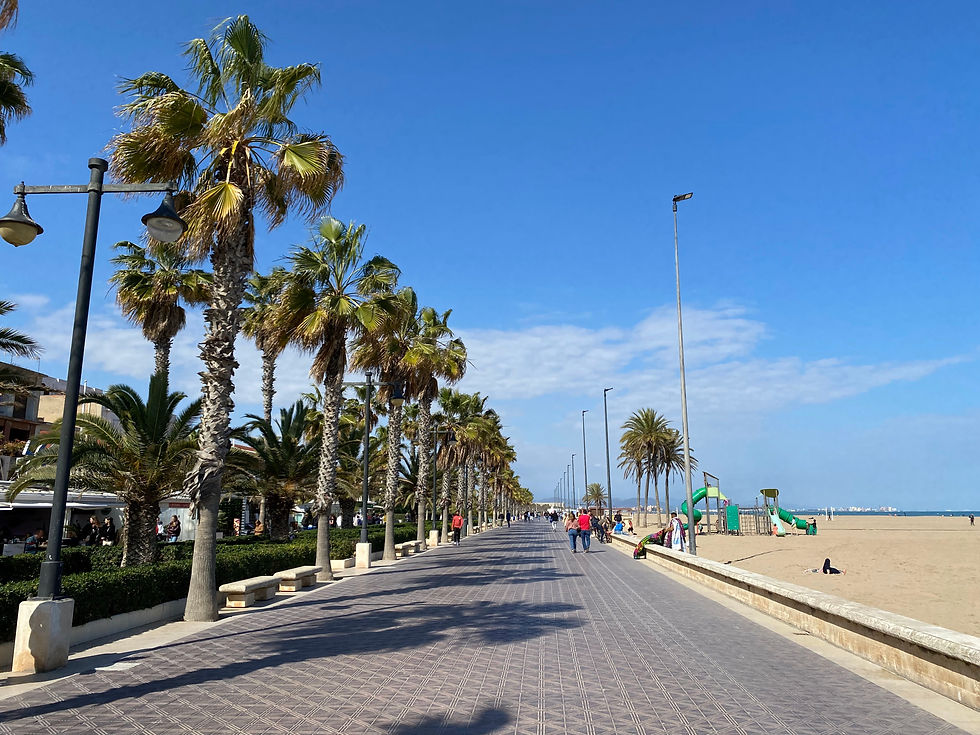 beach in valencia