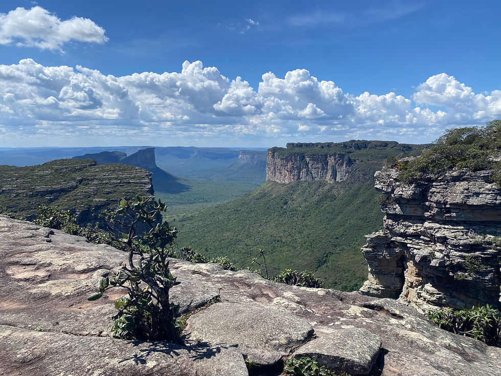Chapada diamantina park