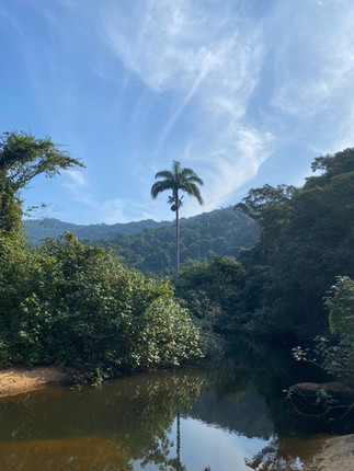 Hike to Lopes Mendes Beach