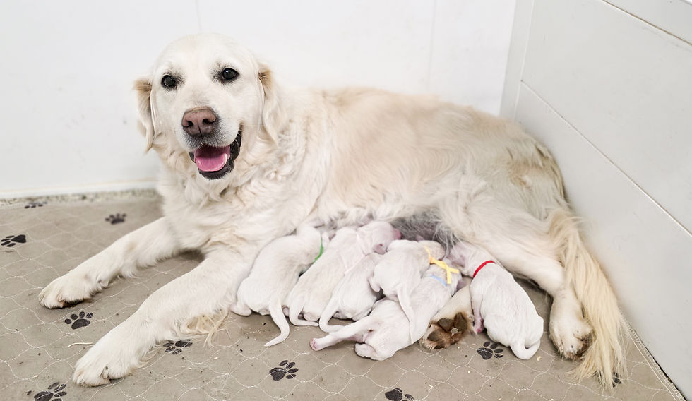 New momma