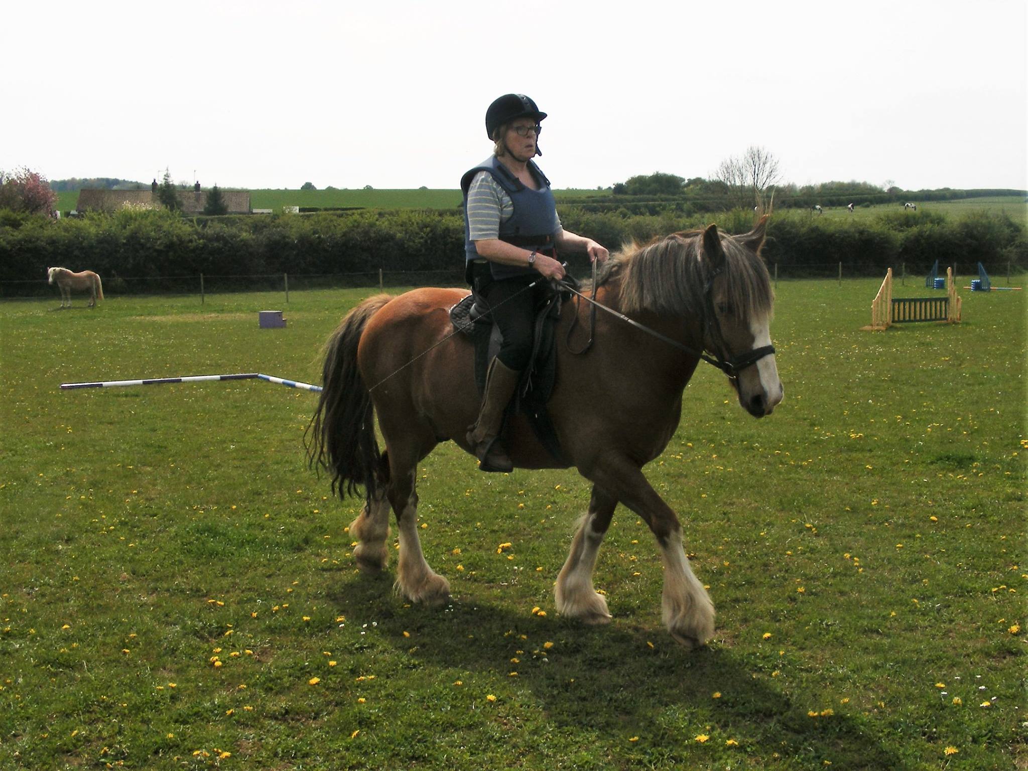Joyce and her gelding Boxer