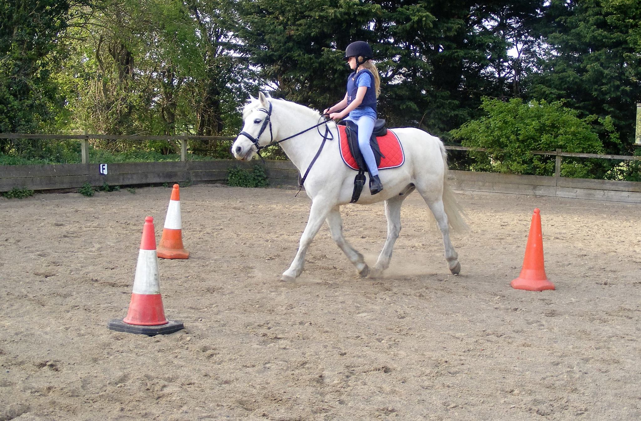 Ella and her gelding Artie