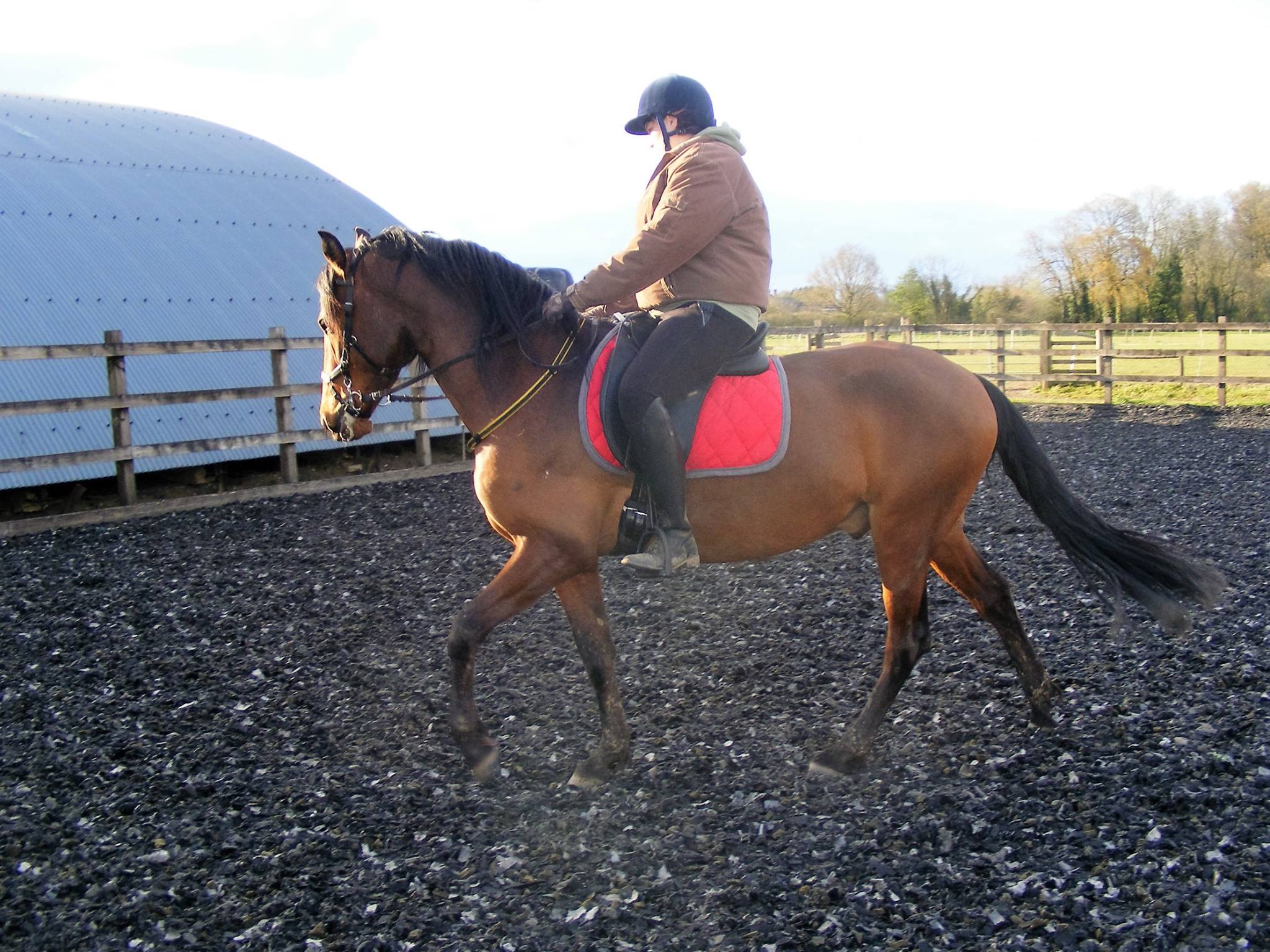 Suzannah and her gelding Hero