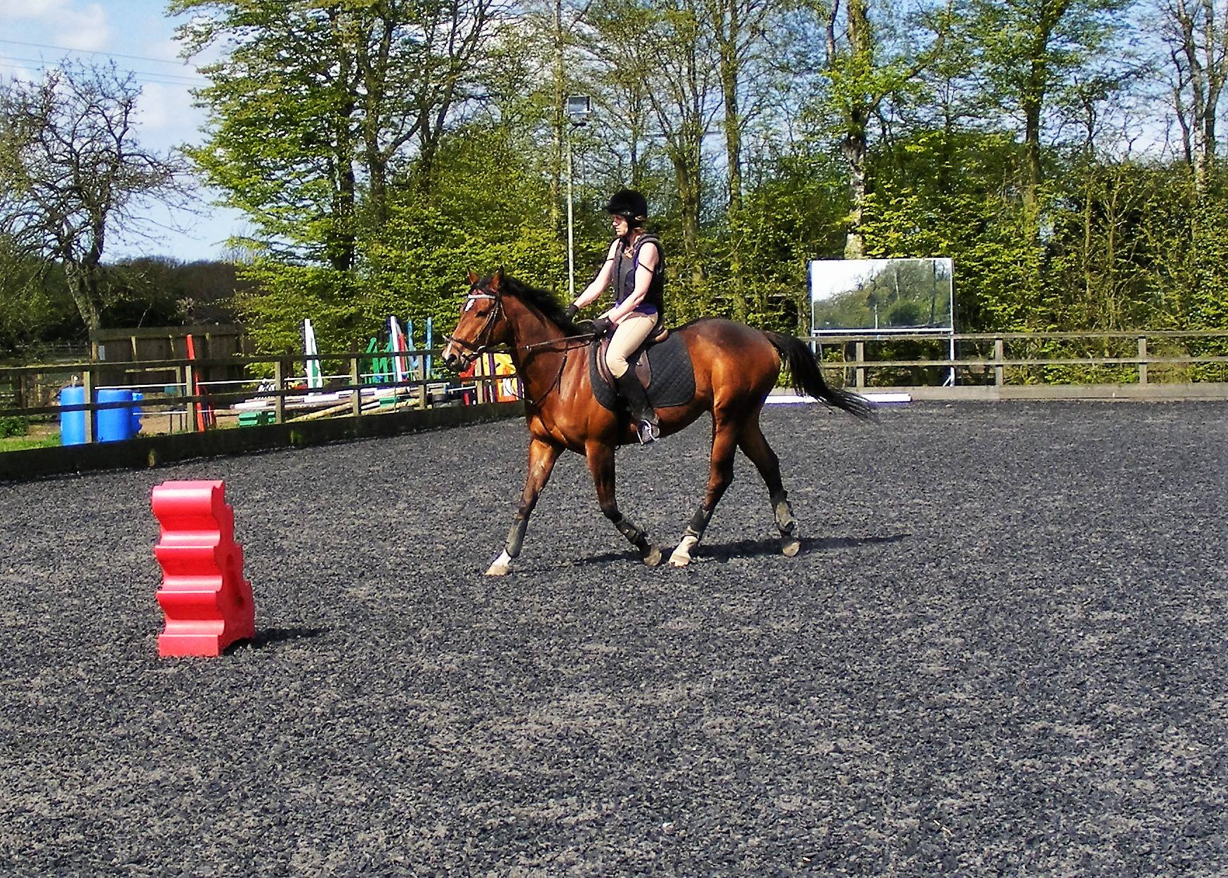 Cath and her gelding Cali