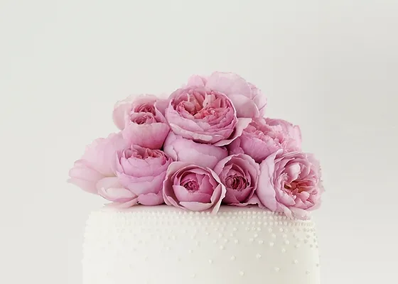 Matchmaking services Auckland
