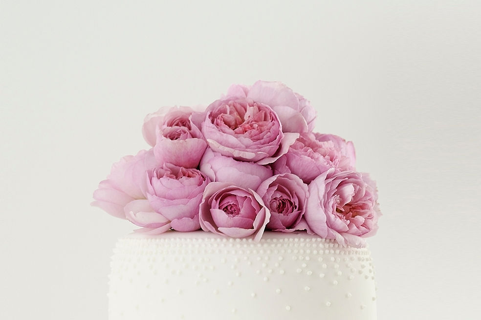 pink roses