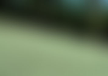 Maximizing Slope Restoration: The Advantages of Tracked Sites and Hydro Mulching.