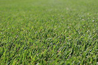 IMG_9369.JPG