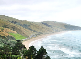 Page 2 and 3 background image,.png