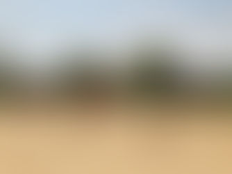 UKBT CLUB CHAMPS | MEET THE DEEP DISH CHAMPIONSHIP REPRESENTATIVES