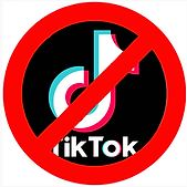 ban tick tok.png