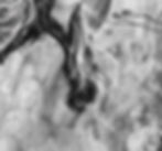 Thumbnail: CONCEPCIÓN - LTD.