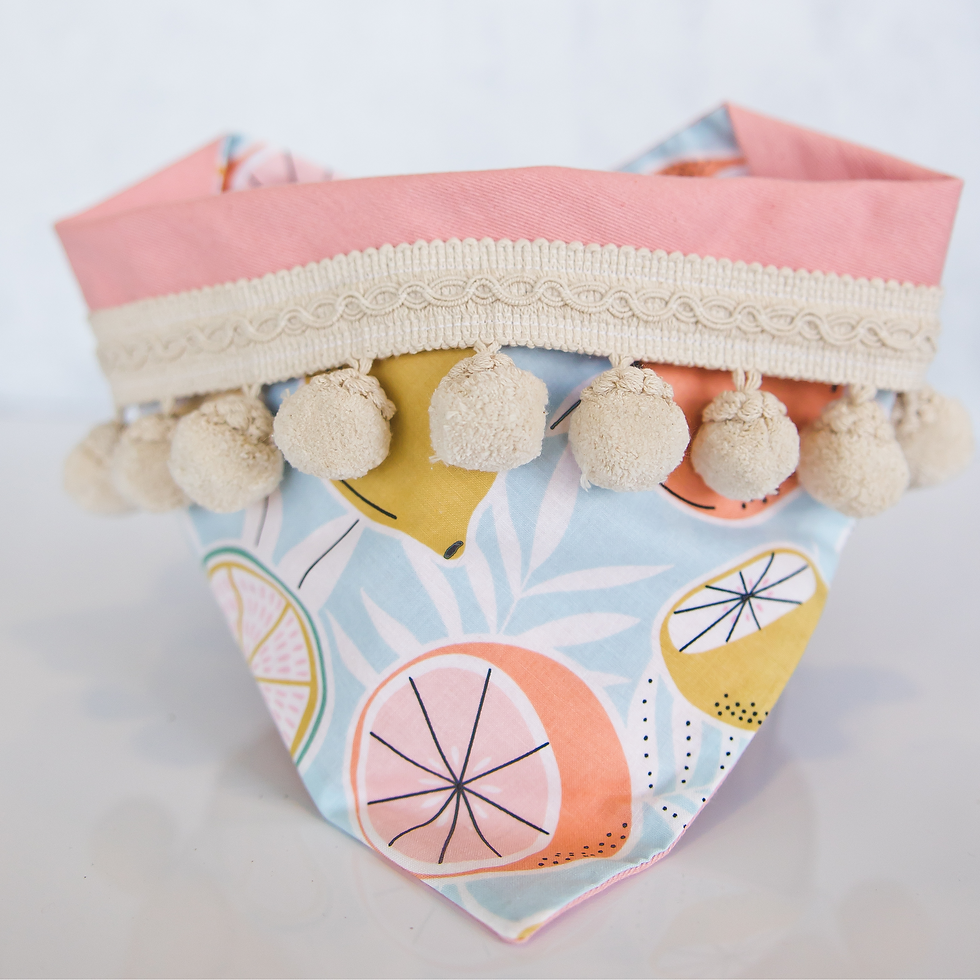 Thumbnail: River Paws - Pet Bandanas Lg