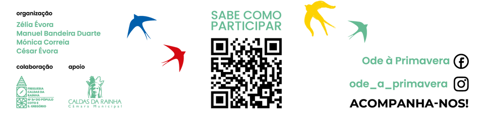 Barra Final