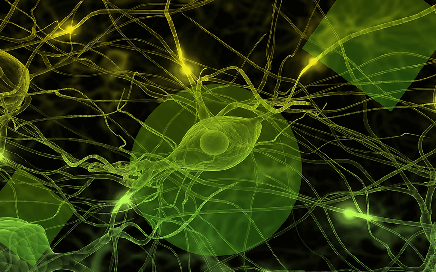 neural-networks.png