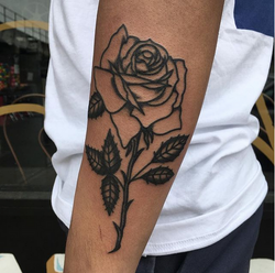 Screen Shot 2019-02-07 at 11.21.49 AM