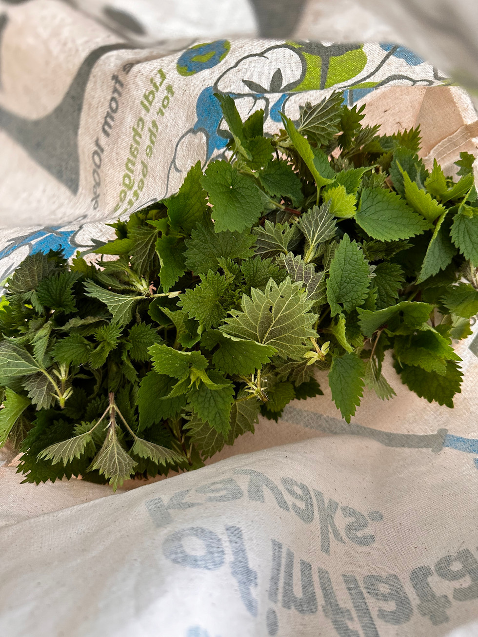 foraged nettles