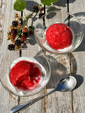 blackberry sorbet scoops served on yogurt