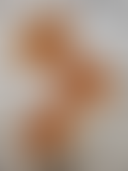 Meal prepped soup, frozen in tupperware