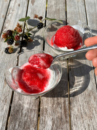 spoonful of blackberry sorbet and yogurt