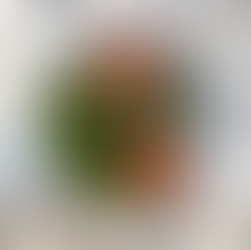 tomato salsa ingredients