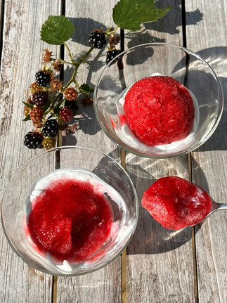 spoonful of blackberry sorbet 