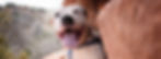 RH_RoadhouseCeciMona6377_3360x740.jpg