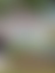 Nick Bailey on CNBC: 'Record Low Inventory Will Likely Continue To Drive Home Price'