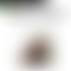 [Bayside Meditation] Meditation Event with Yelp Elite Squad