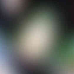 El quesito se acompaña en nuestros desayunos con arepa, parva o chocolate caliente.