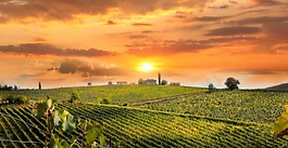 Excursão a San Gimignano, Siena, Chianti e Monteriggioni