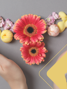 Suplementação na menopausa | Apoio natural para equilíbrio e bem-estar 