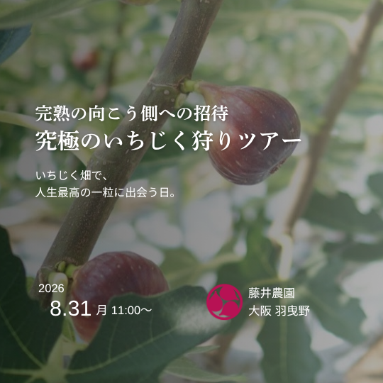 完熟の向こう側への招待~究極のいちじく狩りツアー~