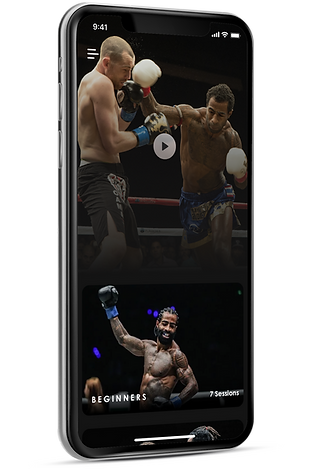 COS_phone.png
