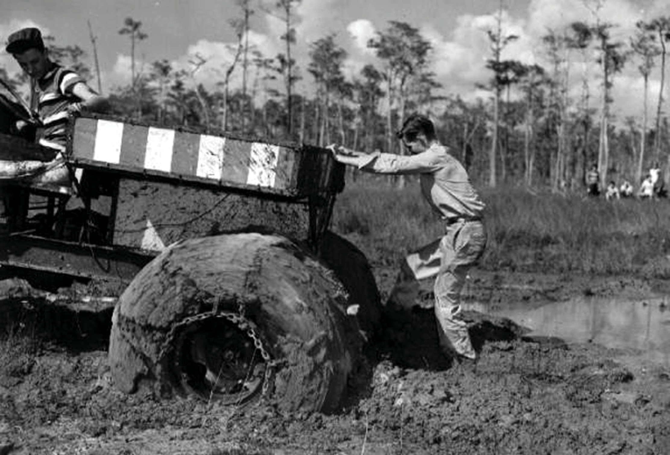 Lost City Found: Nyt'S Swamp Discovery Changes Everything - 7sgqrvc