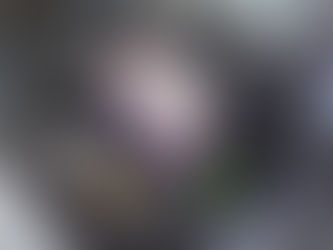 All Day Sport Travel Tips for Staying Healthy, and Saving Money