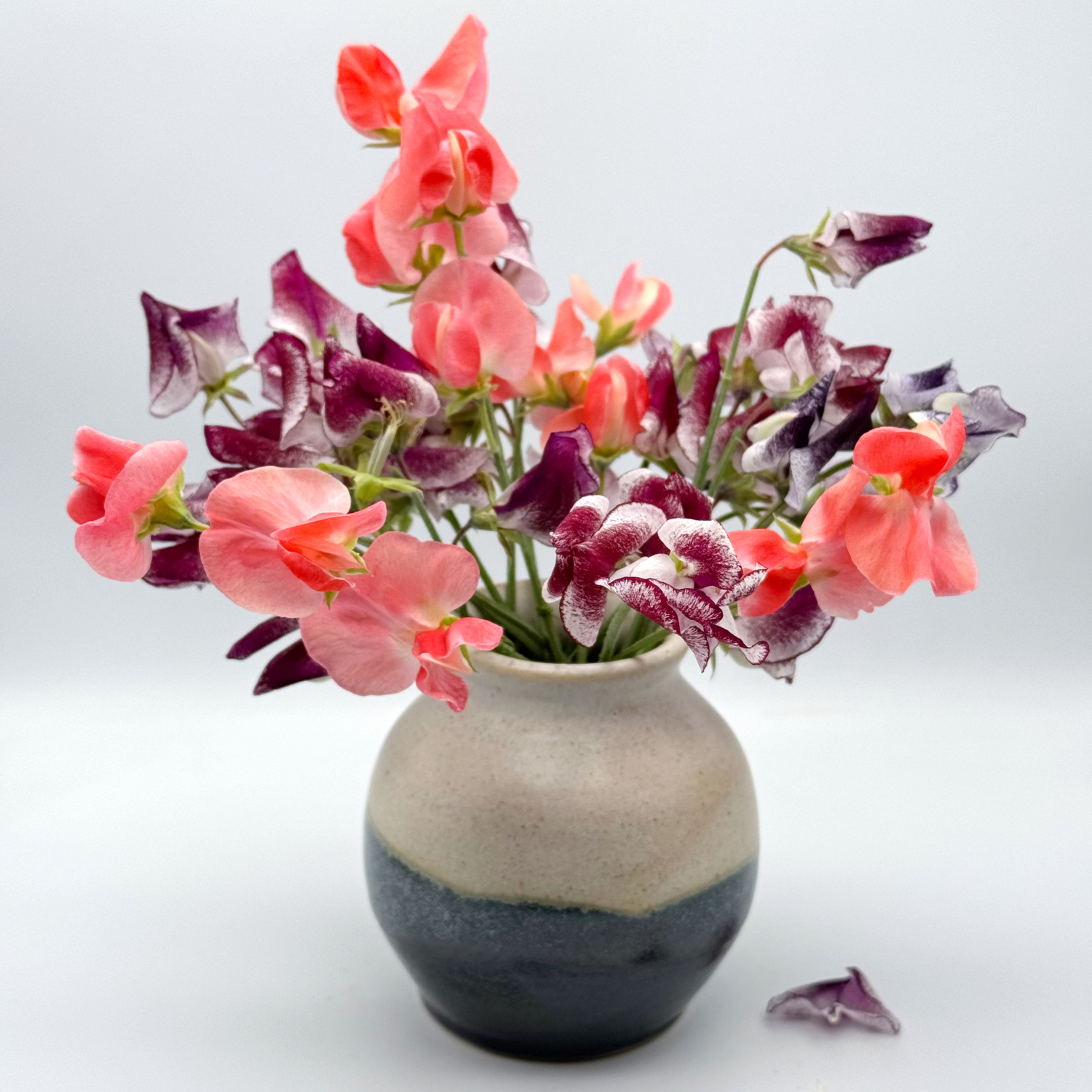 Glen Coe small flowerVase