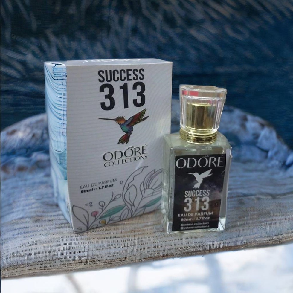 Success 313 Perfume – Odore Collection – 50ml ( Free Shipping )