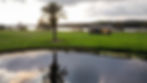 tiny_home_single_level_site2_edited.jpg